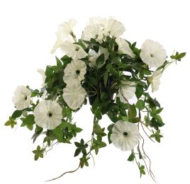 HANGING MORNING GLORY IN POT 66CM CREAM