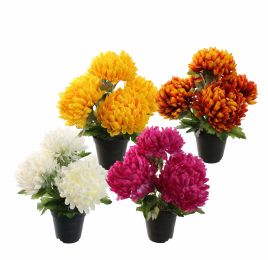 MUM IN POT 33CM ASSORTED