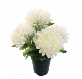 MUM IN POT 33CM CREAM