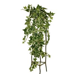 HANGING BUSH X 9 W/221LVS IN POT D:9 CM HOLLAND