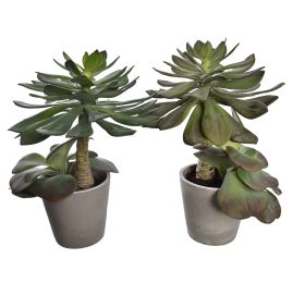 LARGE SUCCULENT IN POT 38CM GREEN