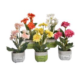 MINI GERBERA IN POT 27CM ASSORTED