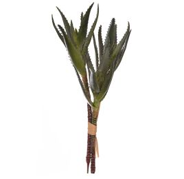 ALOE BUNDLE X 3 40CM GREEN