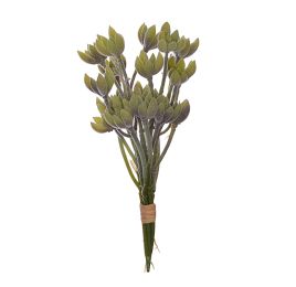 SUCCULENT PIC BUNDLE (5 pcs) 22CM BURGUNDY