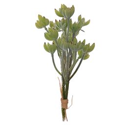 SUCCULENT PIC BUNDLE (5 pcs) 22CM GREEN
