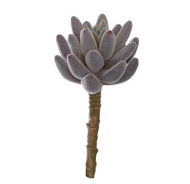 MEDIUM SUCCULENT 15CM BURGUNDY