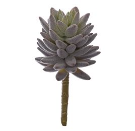 LARGE SUCCULENT 18CM BURGUNDY
