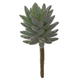 LARGE SUCCULENT 18CM GREEN
