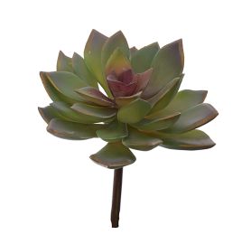 MEDIUM ECHEVERIA 15CM GREY