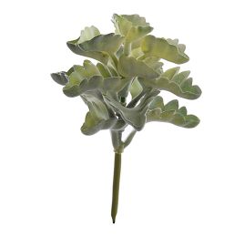 SUCCULENT PICK 17CM GREEN