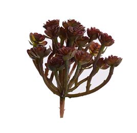 MINI AGAVE SPRAY 12CM BURGUNDY
