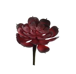SMALL AGAVE 9CM BURGUNDY