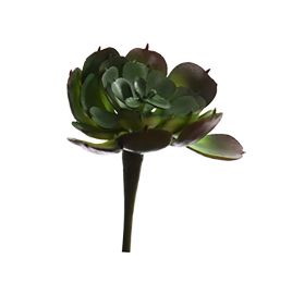 SMALL AGAVE 9CM GREEN