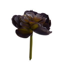 AGAVE PURPLE 12CM GREEN