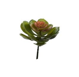 ECHEVERIA 12CM LIGHT GREEN