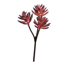 SUCCULENT PICK X 3 22CM BURGUNDY