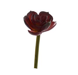 SMALL AGAVE PICK 11CM BURGUNDY