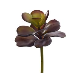 SUCCULENT PICK 15CM PURPLE GREEN