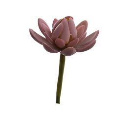 SUCCULENT PICK 11CM PINK