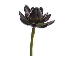 SUCCULENT PICK 11CM PURPLE GREEN