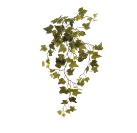 HANGING IVY VINE 84CM W/88 LVS HOLLAND IVY