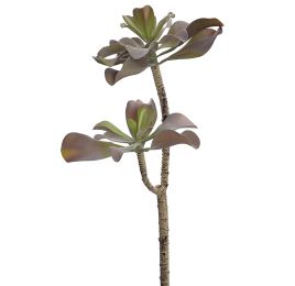 AGAVE X 2 H 51CM GREEN