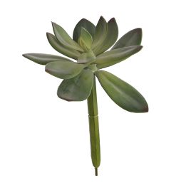 MEDIUM AGAVE GREEN