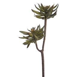 ECHEVERIA X 2 52CM GREY