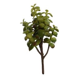 SUCCULENT PLANT 21CM GREEN