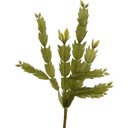 CACTUS PICK X 4 30CM GREEN