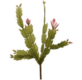 CACTUS PICK X 4 30CM PINK