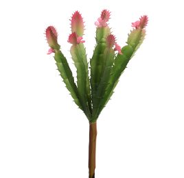 CACTUS PICK X 8 21CM PINK