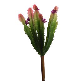 CACTUS PICK X 8 PURPLE
