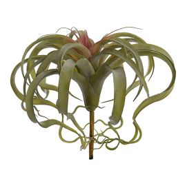 LARGE TILLANSIA PLANT 28CM RED GREEN