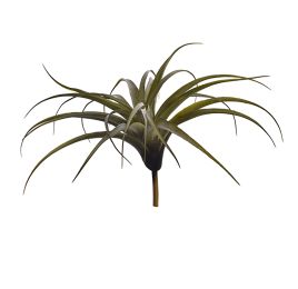LARGE TILLANSIA 34CM GREEN