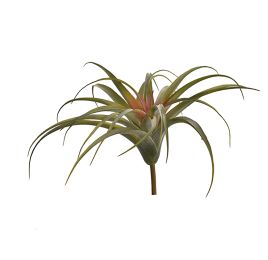 LARGE TILLANSIA 34CM RED GREEN