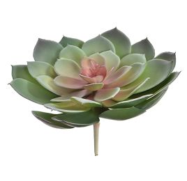 LARGE ECHEVERIA 16CM GREY