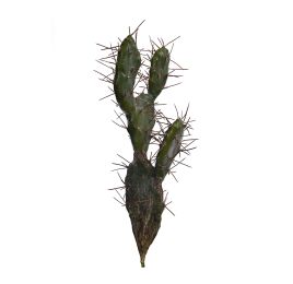 PRICKLY CACTUS 38CM GREEN