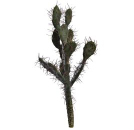 PRICKLY CACTUS 70CM GREEN