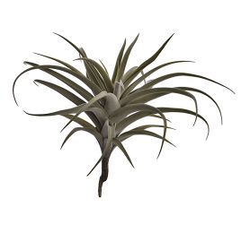BIG FLOCKED TILLANSIA 45CM GREY
