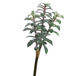 SUCCULENT PICK X 3 28CM GREEN