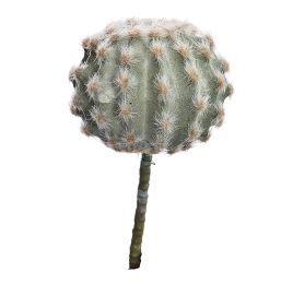 BALL CACTUS DIA 21CM GREEN
