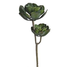 ECHEVERIA PICK X 2 52CM GREY