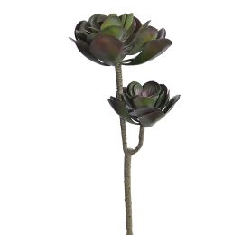 ECHEVERIA PICK X 2 52CM GREEN RED