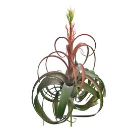 LARGE TILLANSIA W/FLOWER 60CM GREEN
