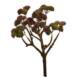 BERRY PLANT 24CM PINK