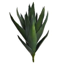 LARGE ALOE 60CM GREEN