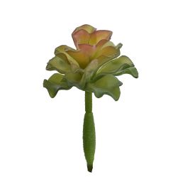 ECHEVERIA PICK 12CM GREEN PINK