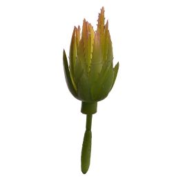 ALOE PICK 18CM GREEN PINK