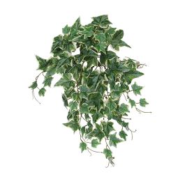 IVY BUSH (outdoor use) 50CM HOLLAND